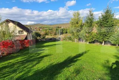 Casă cu 1 camere cu Teren 1824 Mp în Livezeni - 5