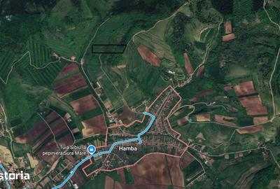 Teren de 38400 mp, în Șura Mare - 4