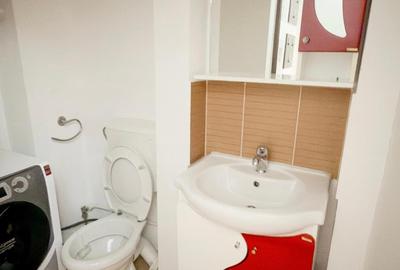 Apartament 3 camere mobilat si utilat de vanzare in Mazepa 2 - 10