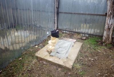 Spațiu comercial, în Iedera - 3