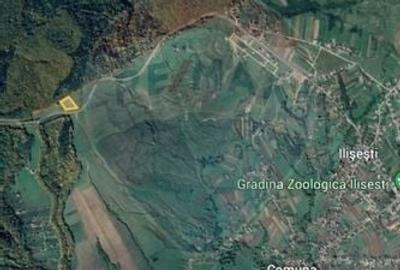 Teren Ilisesti  7000mp extravilan/ DN 17, Suceava - 6