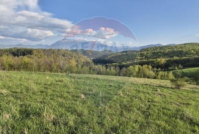 Comision 0 %/Teren intravilan 11.600mp Poiana Marului / Natura/Poveste - 21
