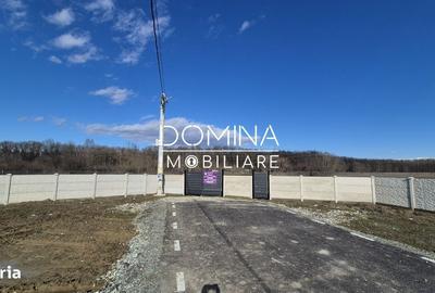Spațiu comercial, în Cârbești - 10