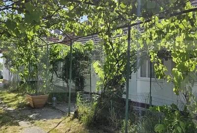 Casă cu 3 camere cu Teren 2985 Mp în Moșnița Nouă - 10