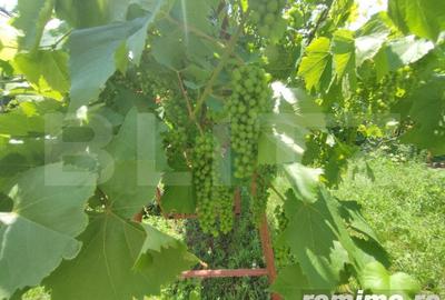 Casă cu 8 camere cu Teren 992 Mp în Cătămărești - 1