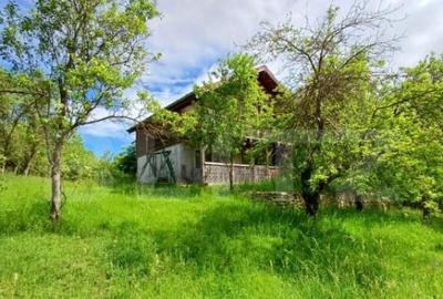 Casa 3 camere si teren 4873 mp in Pietroasa, Moldovenesti - 2