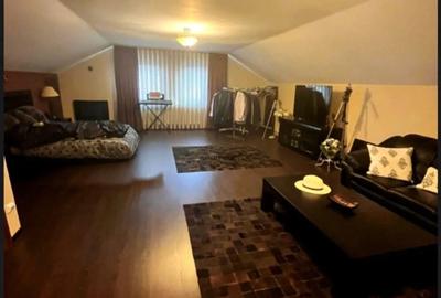 Vand casa din 2009 plus cladiri anexe (590mp) complet mobilata ?i utilata - 3