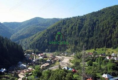 Teren Voineasa/Intravilan/5500 mp - 1