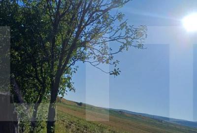 Casa taraneasca cu 3 camere, Turia Jos, - 8