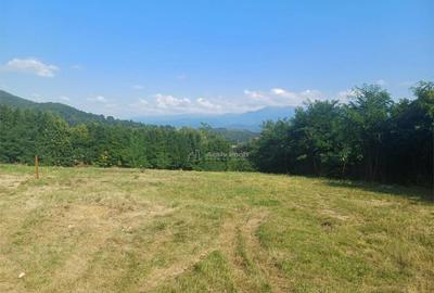 Teren de 1344 mp, în Tălmaciu - 2