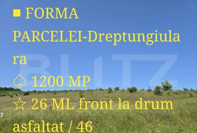 Teren intravilan construibil in Salicea - 1