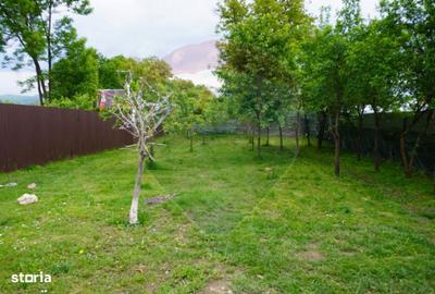 Casă cu 4 camere în Bârsana - 10