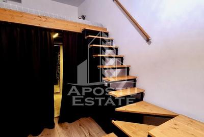 Apartament 2 camere + garsoniera, garaj, renovat complet, Badea Cartan - 16