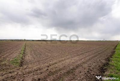 Teren de 5663 mp, în Oșorhei - 3