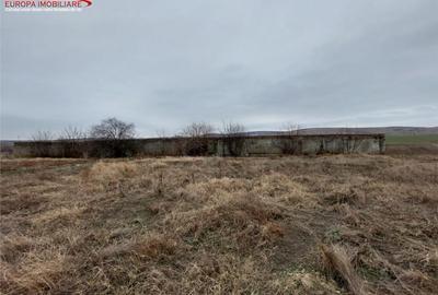 Teren de 6300 mp, în Babadag - 4