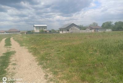 Teren de 1500 mp, în Petrăchioaia