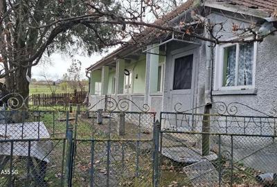 Casă cu 2 camere în Șăulia - 8