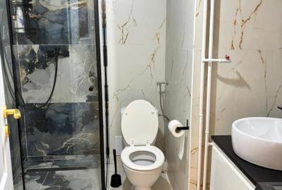 Inchiriere apartament 4 camere Mosilor. - 5