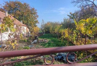 Teren de 757 mp, în Orțișoara