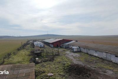 Teren de 4300 mp, în Jurilovca - 2
