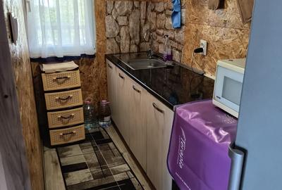Casă individuală cu 3 camere cu Canalizare în Surducu Mic - 8