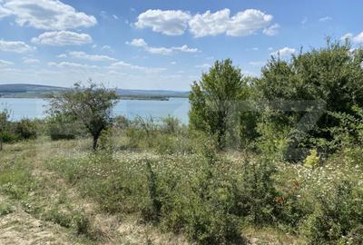 Teren extravilan in apropierea lacului Varsolt in suparfata - 3