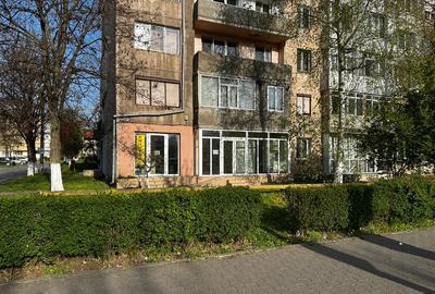 Inchiriez spatiu comercial Micro 4 - 2