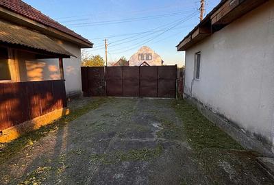 Casă cu Teren 4000 Mp în Sălbăgelu Nou