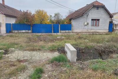 Casă cu Teren 1652 Mp în Bacova - 3