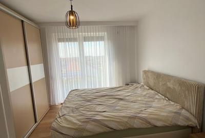 Apart 2 cam, Sanmartin, etaj 3, detine loc de parcare - 17