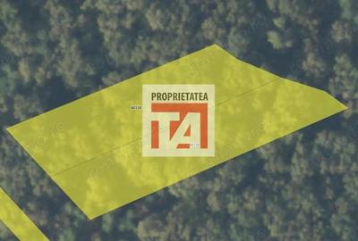 Teren de 4800 mp, în Lăpuș - 1