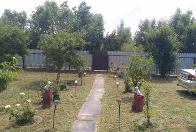 Casă cu 3 camere în Podu Turcului - 9