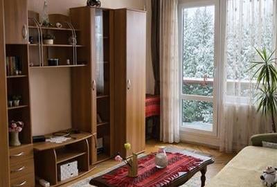 2 camere decomandate,mobilat,utilat,aer conditionat,2 balcoane,Cornisa,Targu Mur - 1