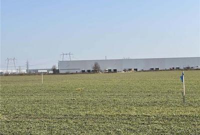 Teren de 4300 mp, în Chiajna - 3