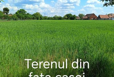 Casă cu 4 camere în Susag - 3