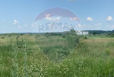 DE VANZARE Teren 5,000mp Sisesti Drumul Piscul Mosului - 21
