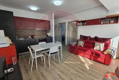Apartament cu 3 camere semidecomandat, mobilat în Snagov - 14