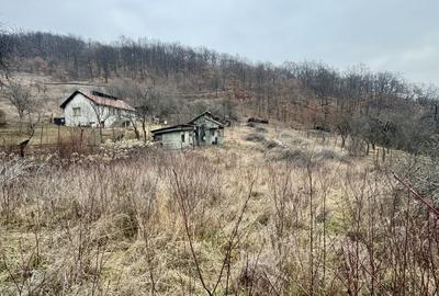 Teren intravilan, loc de casa,  panorama - 1