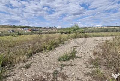 Teren de 599 mp, în Săldăbagiu de Munte - 6