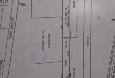 Teren de 1000 mp, în Daia - 1