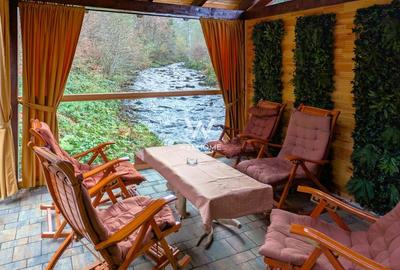 Cabana / Casa de vacanta pe Transfagarasan - Sibiu - 11