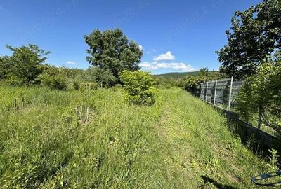 Teren de 2170 mp, în Olteni - 5