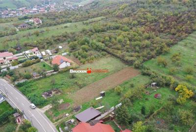 TEREN GENEROS | STR. PIERSICILOR - 3