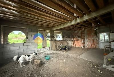 Casa de vanzare - GHINDAOANI - 4
