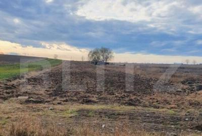 Teren extravilan Comi?ani - 6