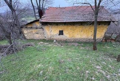 Teren de 2038 mp, în Ghercești - 17