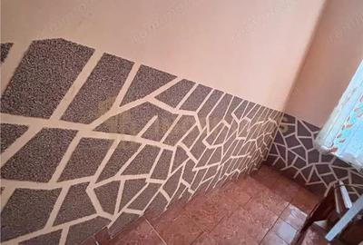 Casă cu Teren 1640 Mp în Satu Nou de Sus - 6