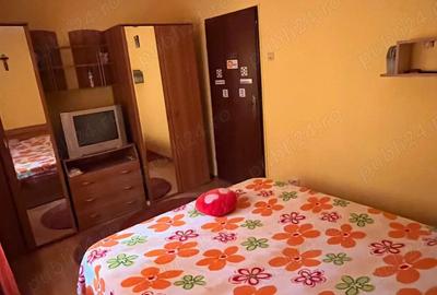 Apartament 2 camere Brazda lui Novac 1800 lei - 5