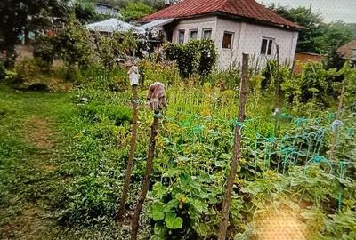 Casă cu 4 camere în Beba Veche - 7
