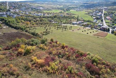 Teren de 1000 mp, în Dosu Bricii - 2